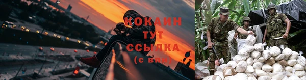дживик Костерёво