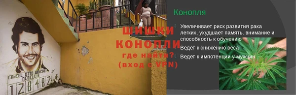 дживик Костерёво