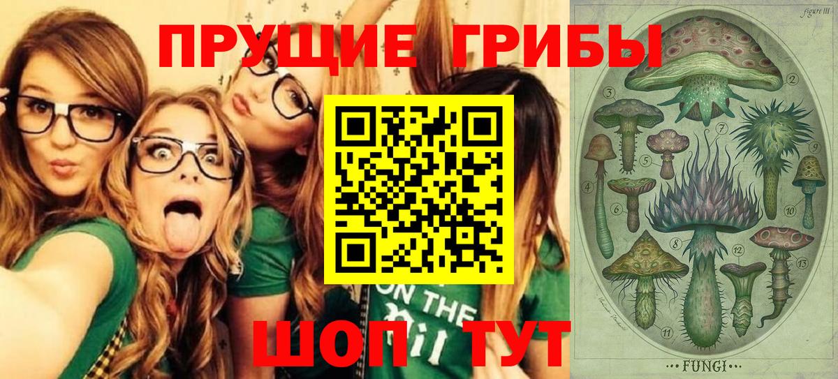 Псилоцибиновые грибы ЛСД Пенза