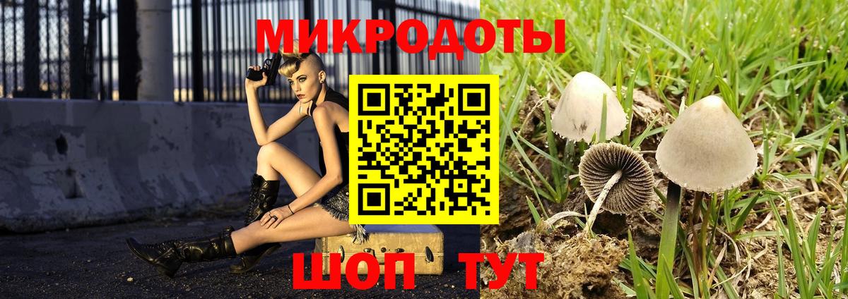 Пенза  Галлюциногенные грибы Psilocybine cubensis  Вход с VPN 