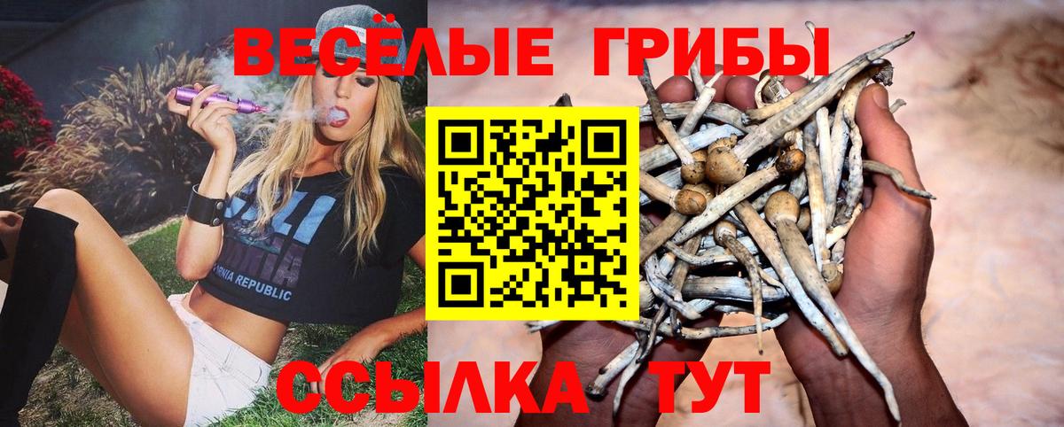 Бошки Шишки Пенза